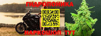 а пвп мука Новодвинск
