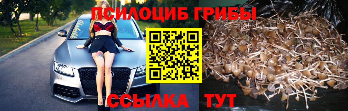 Псилоцибиновые грибы Magic Shrooms  Вход с VPN  Рассказово 